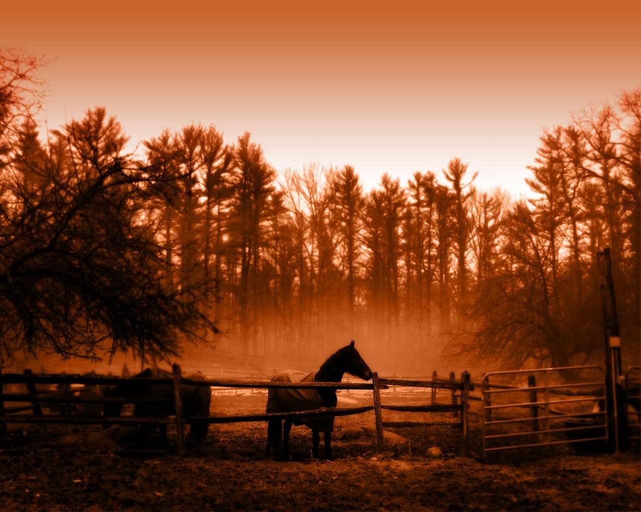 horse tree sepia