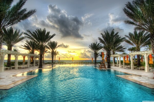 Luxury swimming pool in palm trees with sky