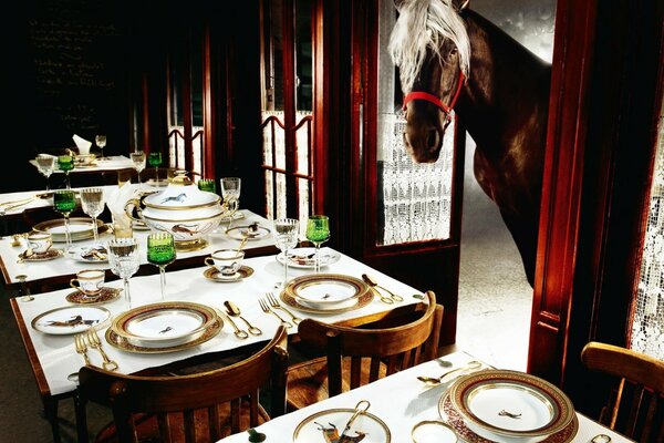 Лошадь заглянула в зал ресторана