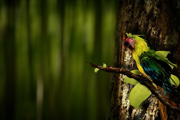 A parrot is sitting on a branch with a beetle