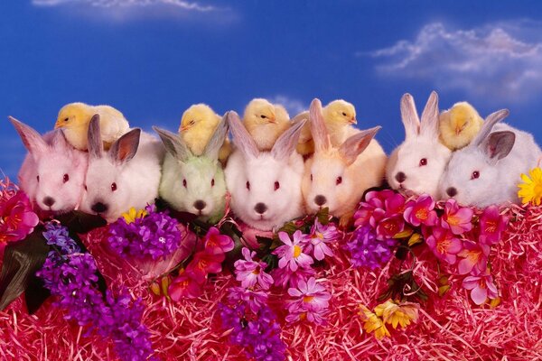 Śmieszne króliczki i kurczaki w kwiatach