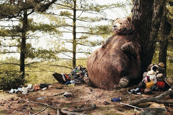 Oso gordo apoyado en un árbol