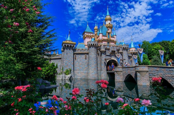 Bridge to the Sleeping Beauty Castle