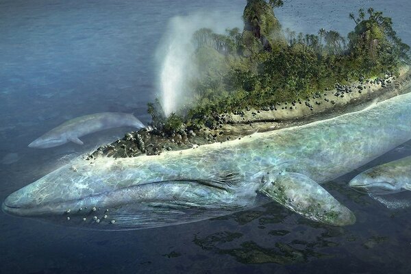 Isla en la espalda de la ballena fantasía