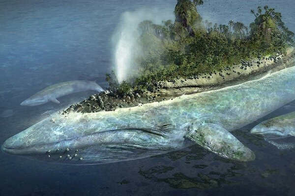 Isola sul retro della balena fantasia