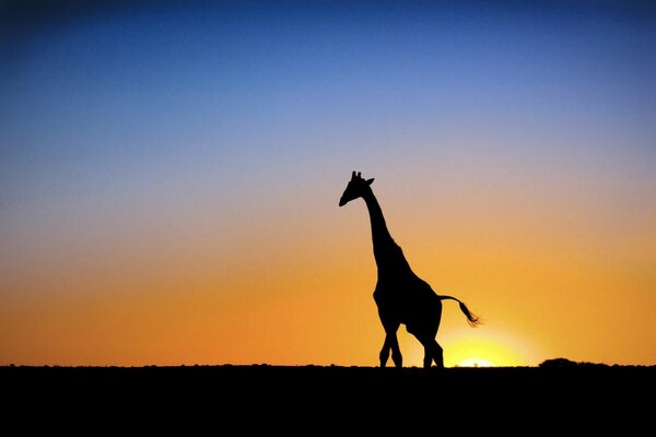 Painting the sun at sunset and a giraffe