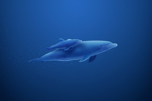 A dolphin and a baby dolphin swim in the depths