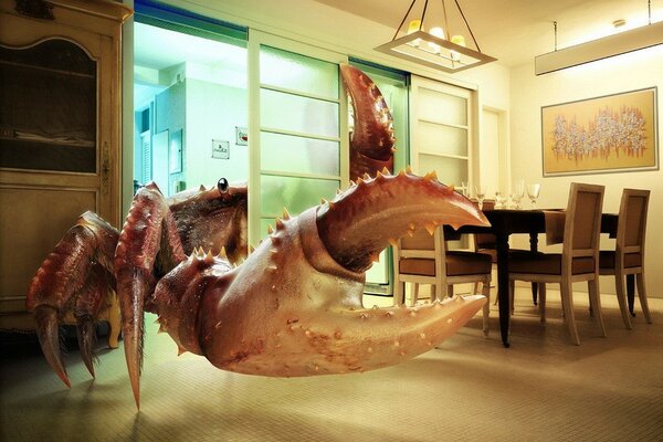 Photo d un crabe géant dans la chambre