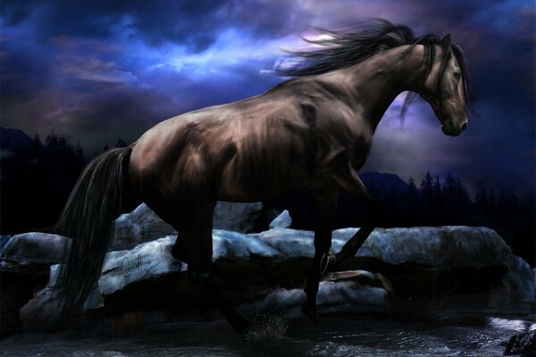 Piękny koń nad strumieniem w nocy