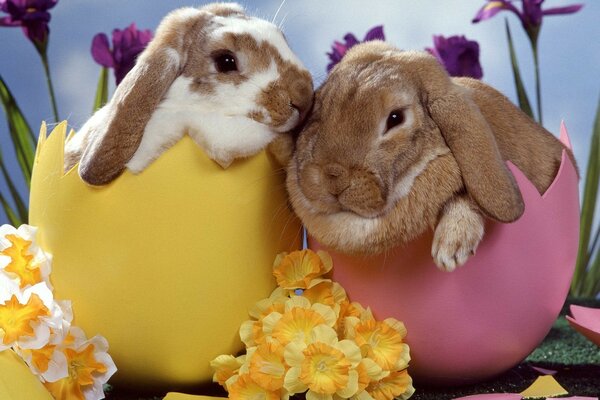 Easter bunnies on the background of irises and daffodils