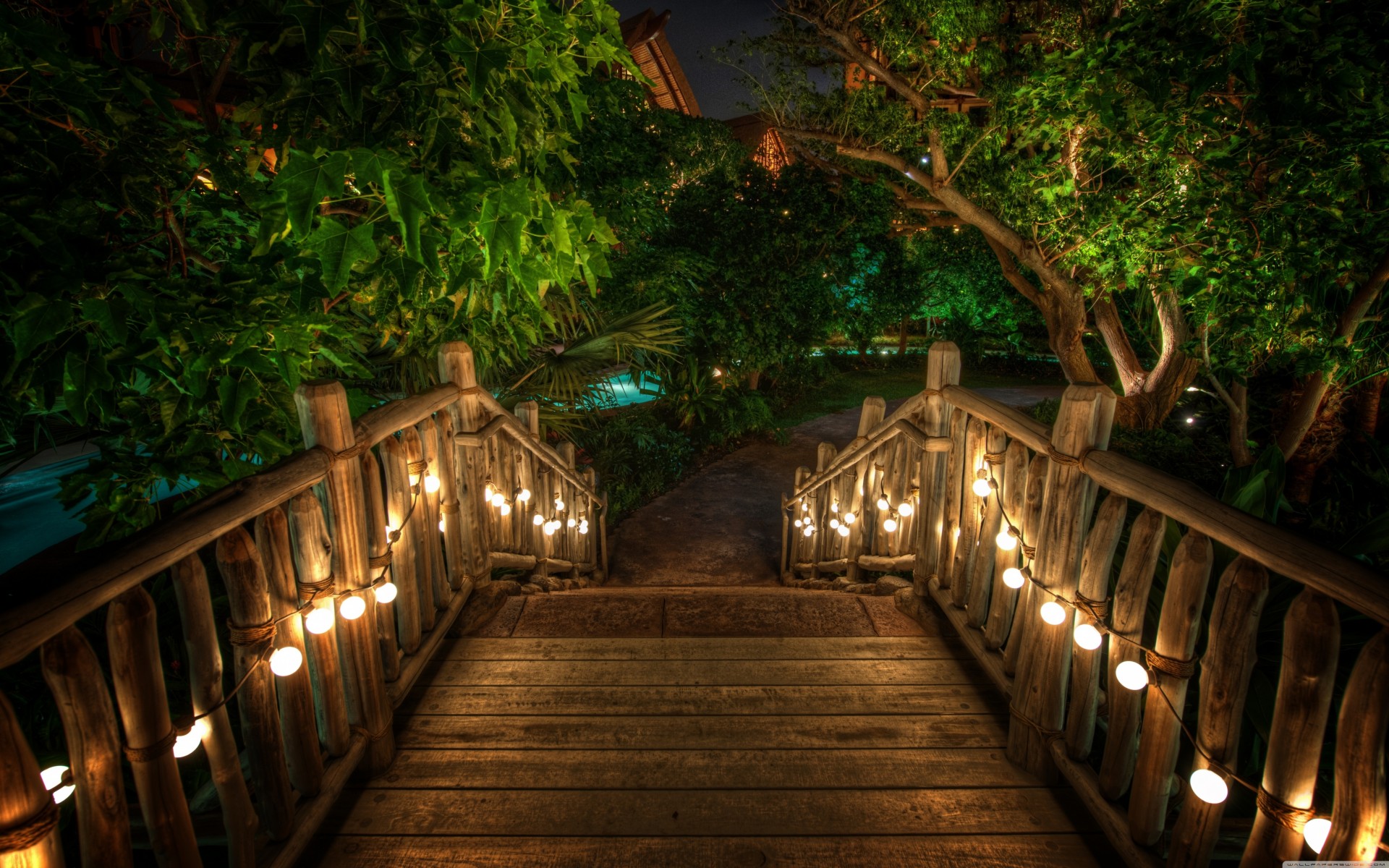 night palm ladder water light