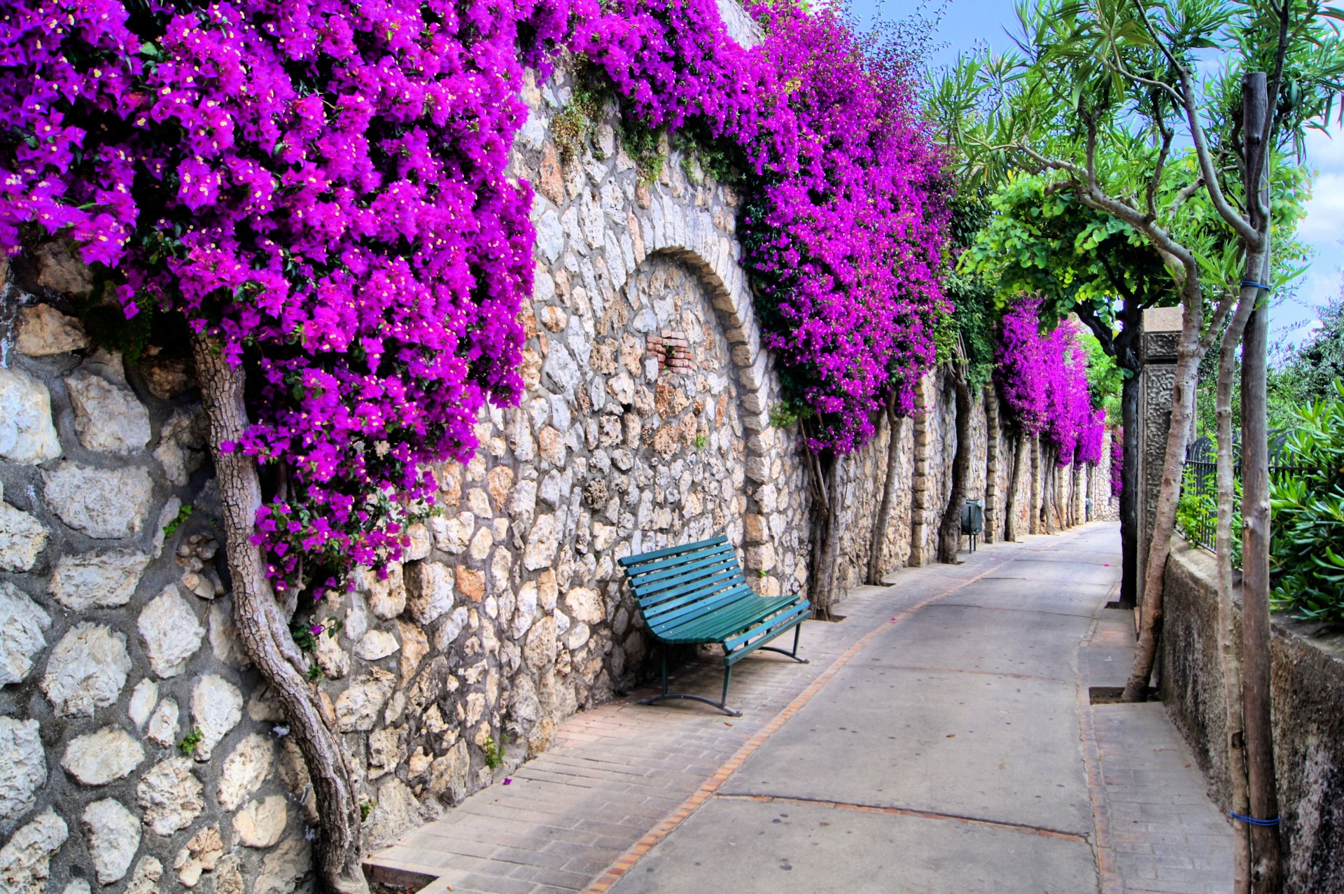 ciudad bancos palmeras calles encantador italia flores