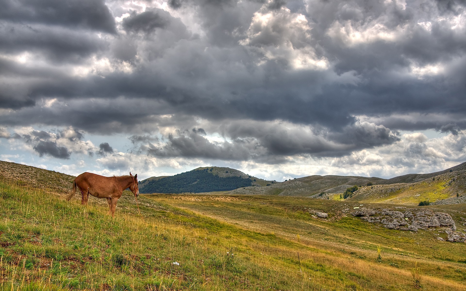 nuages collines cheval