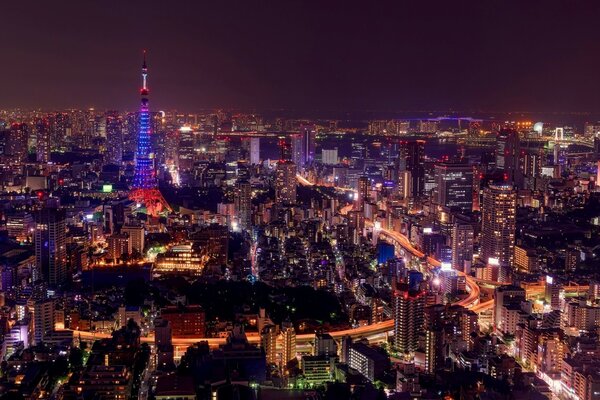 La torre de Tokio y los rascacielos de Japón en las luces de la noche