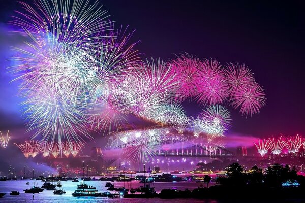 Fuegos artificiales brillantes para unas vacaciones maravillosas