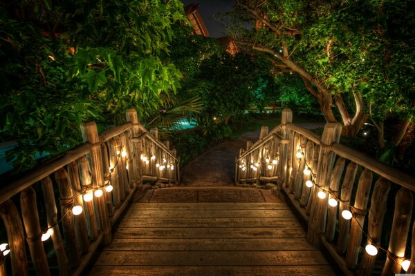 Escaleras de noche que conducen a la espesura del bosque