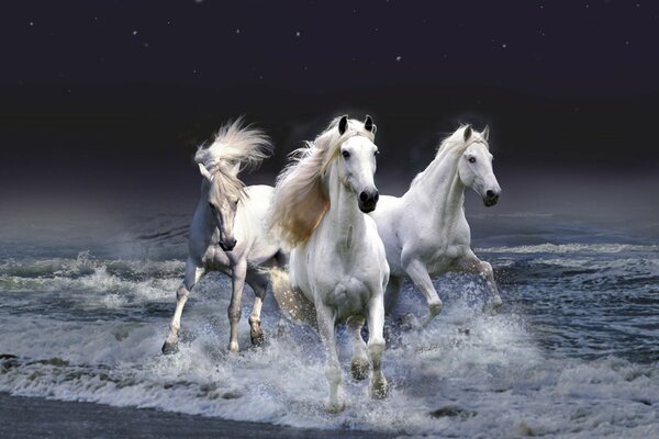 Horses running along the seashore