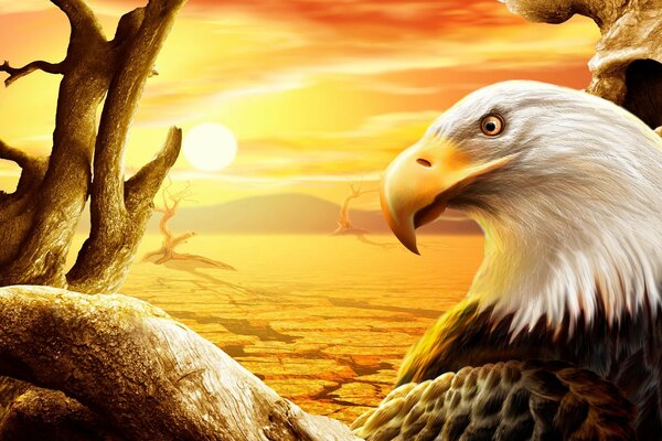 In the drawing, the desert, the sun and the eagle