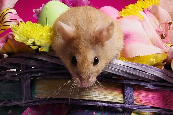 Мышь в корзинке с цветами
