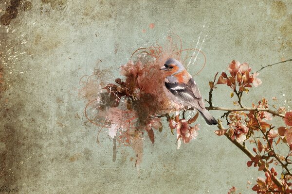 Bellissimo uccello su un ramo di un albero in fiore su uno sfondo grigio sporco