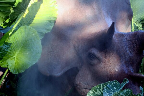 Dinosaur hid in the leaves of plants