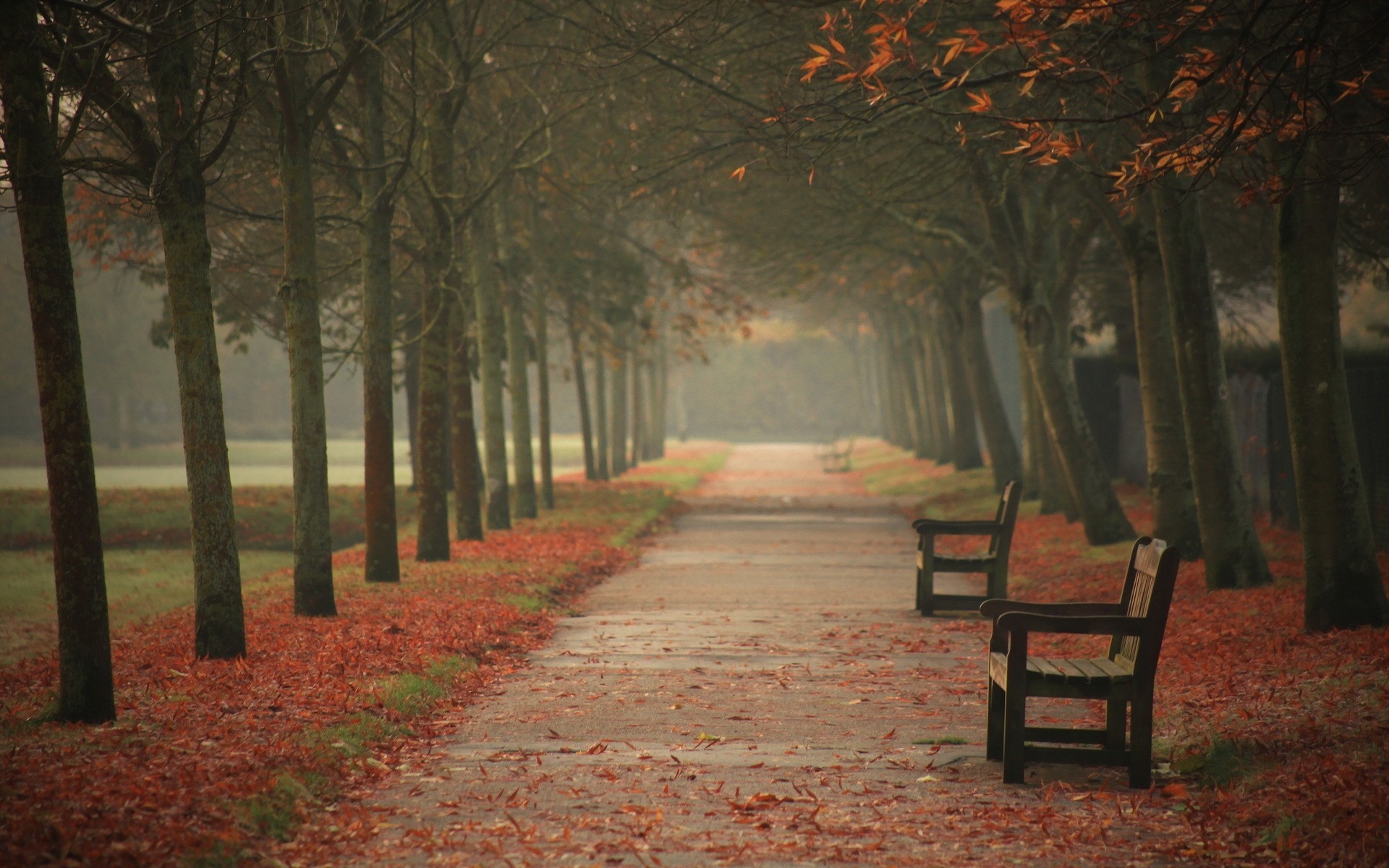 herbst straße stadt