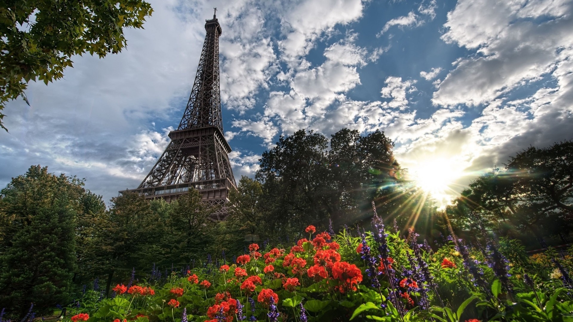 natur eiffelturm wolke paris blume baum stadt