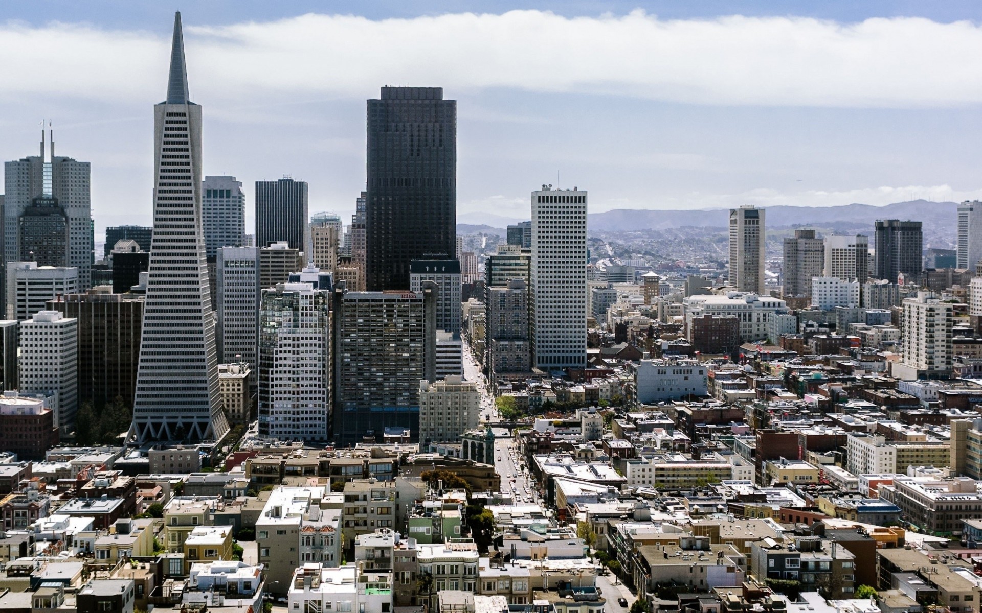 san francisco drapacze chmur panorama widok z góry