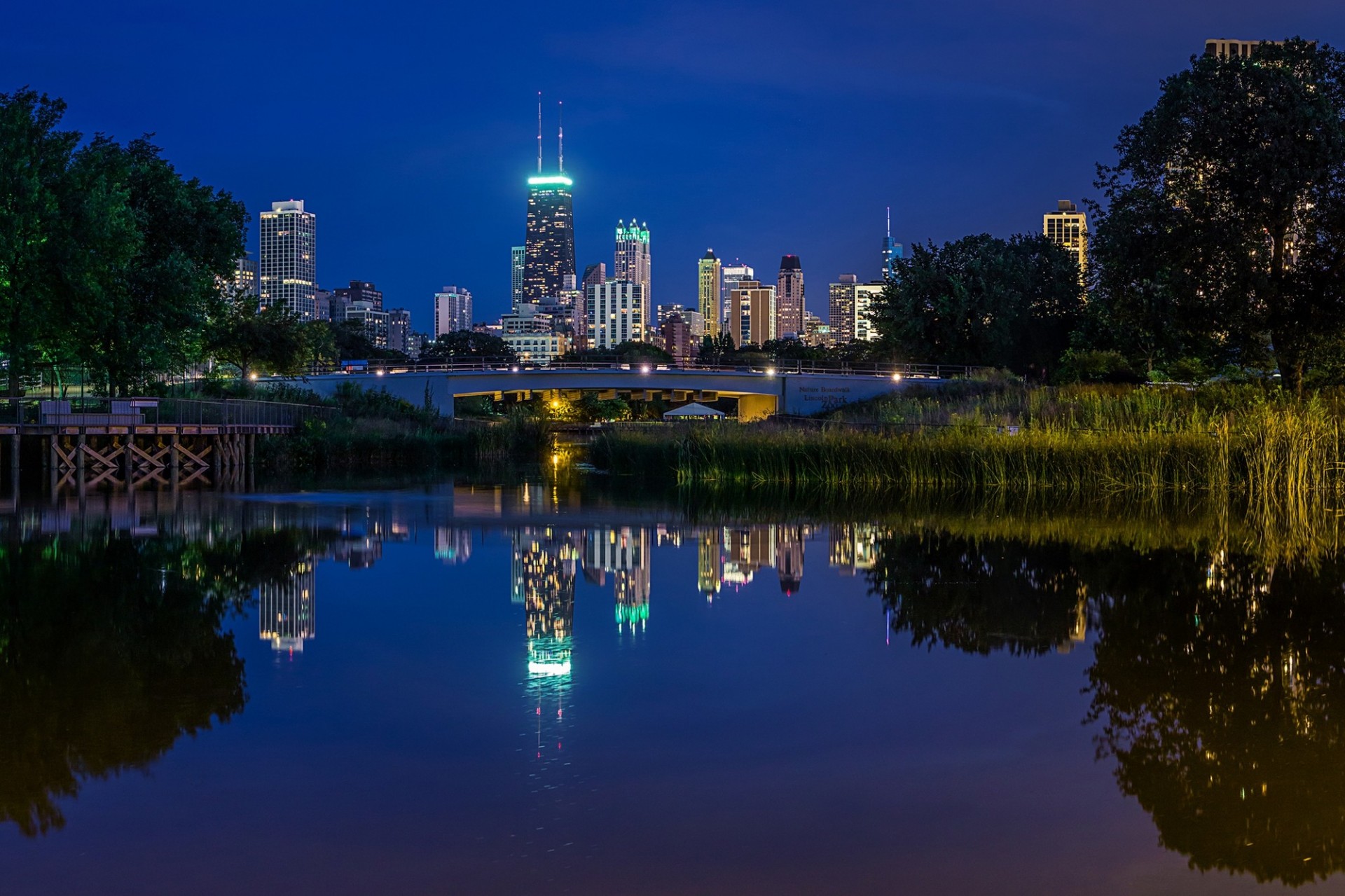 chicago ville nuit arbres réflexion usa étang gratte-ciel illinois eau parc paysage llinois pont lincoln park maisons