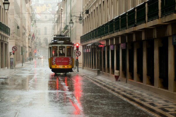 City tram among the gray streets