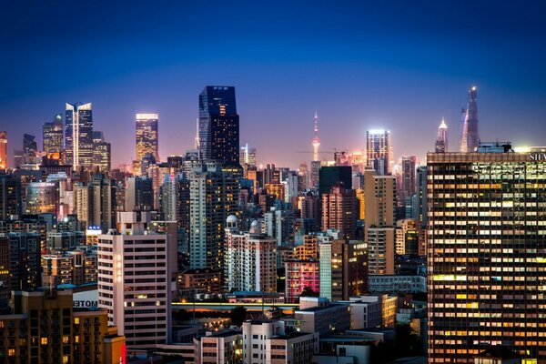 Chinese skyscrapers panorama Shanghai