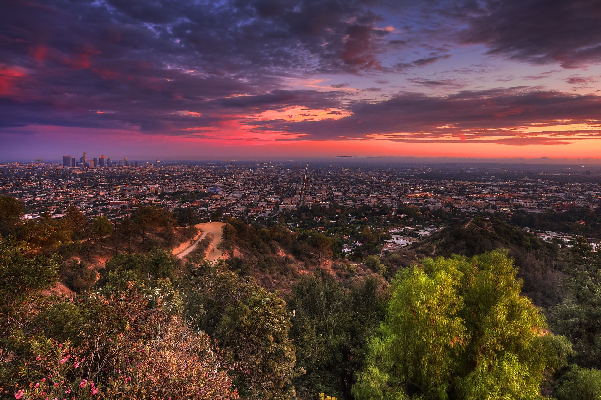 landschaft sonnenuntergang los angeles bäume stadt blick von oben