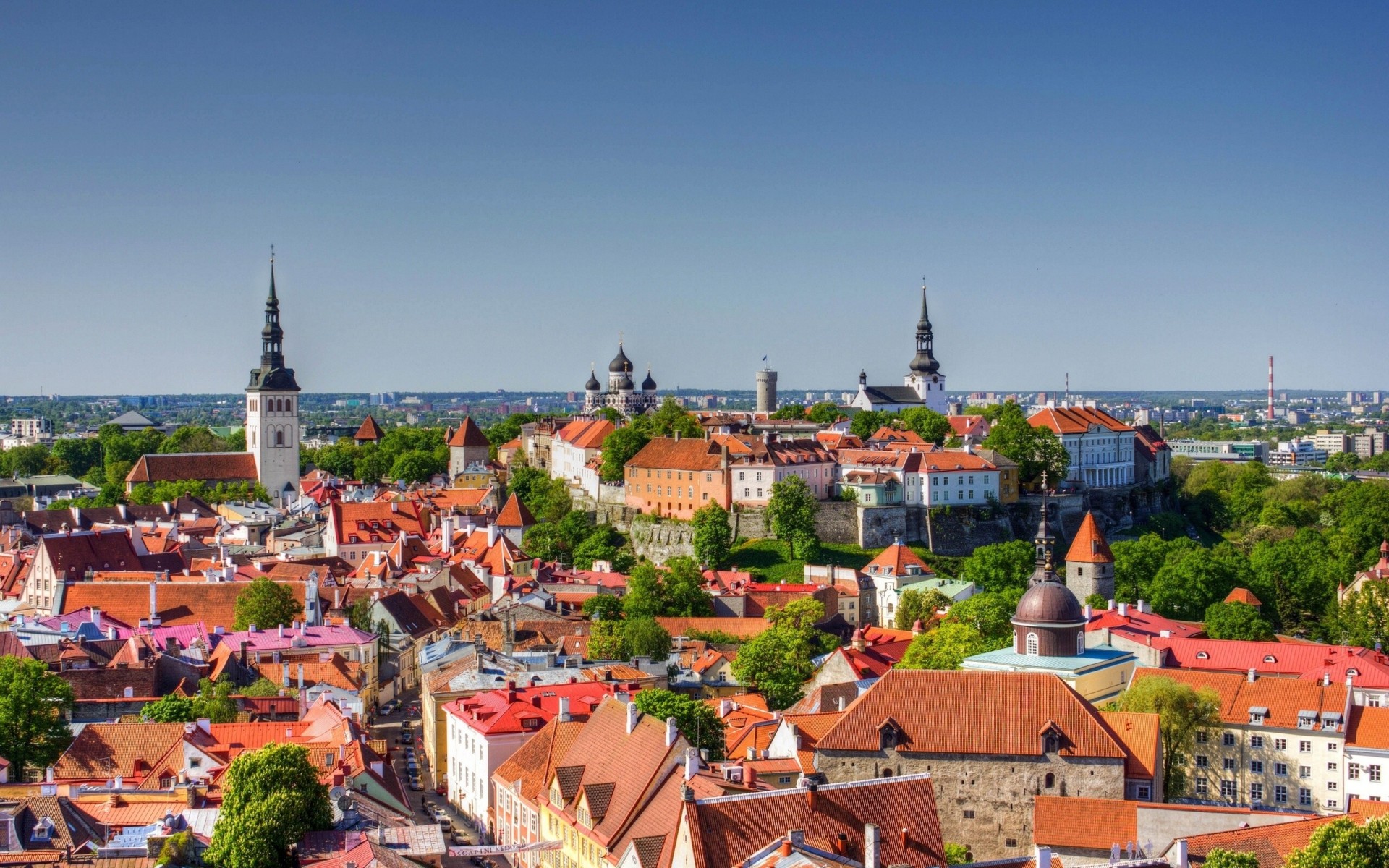 old town panorama estonia roof tallinn