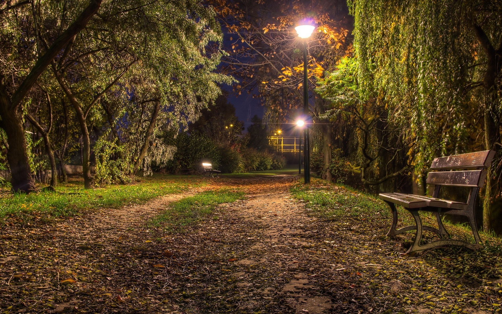 park town bench