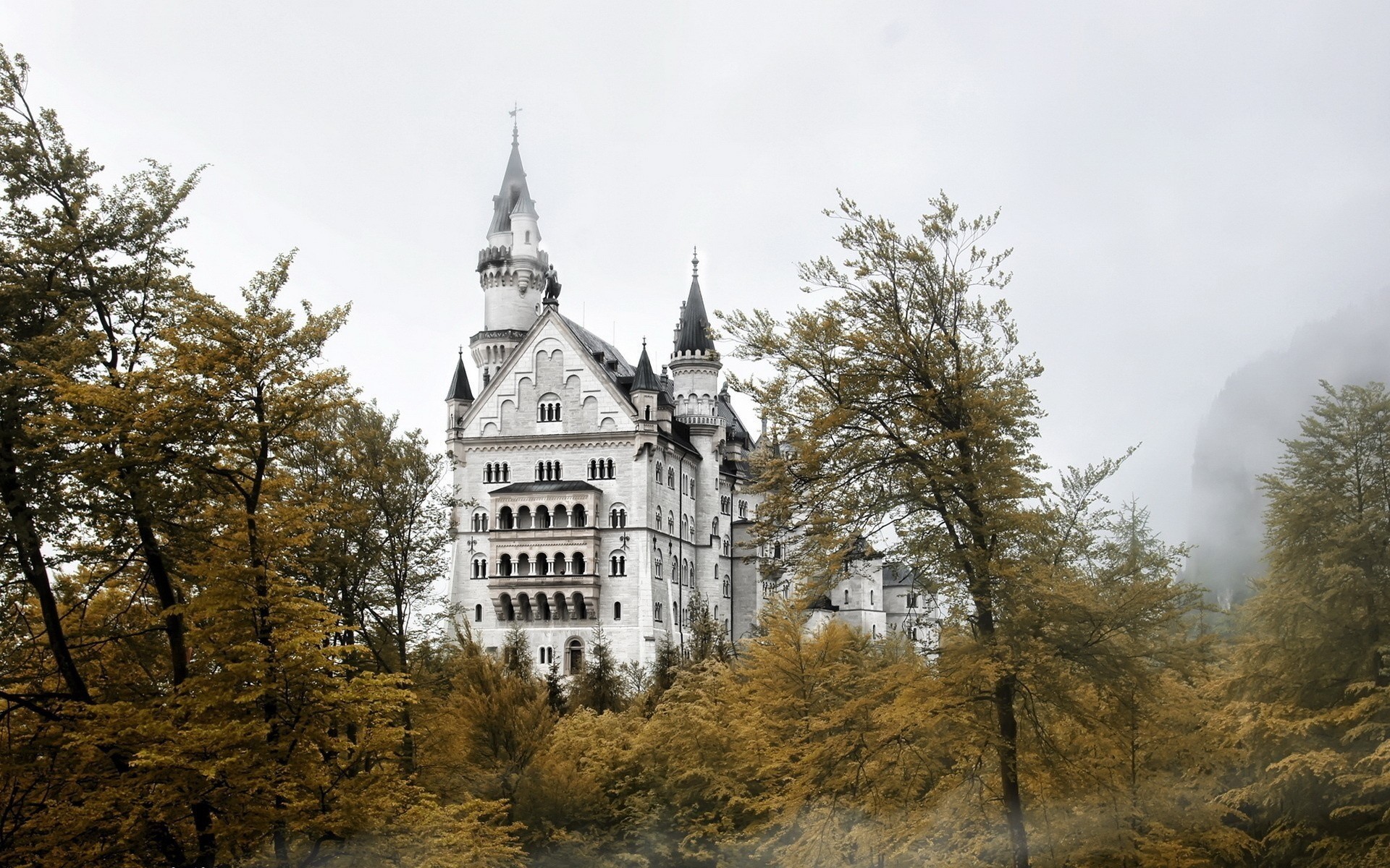 castle neuschwanstein tree bayern munich grey repair town