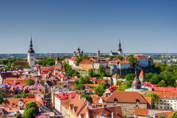 Panorama of the old city of Tallinn