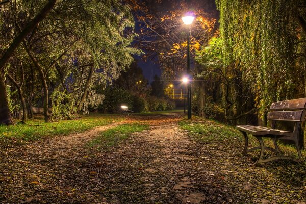 Bancos en el parque de la ciudad