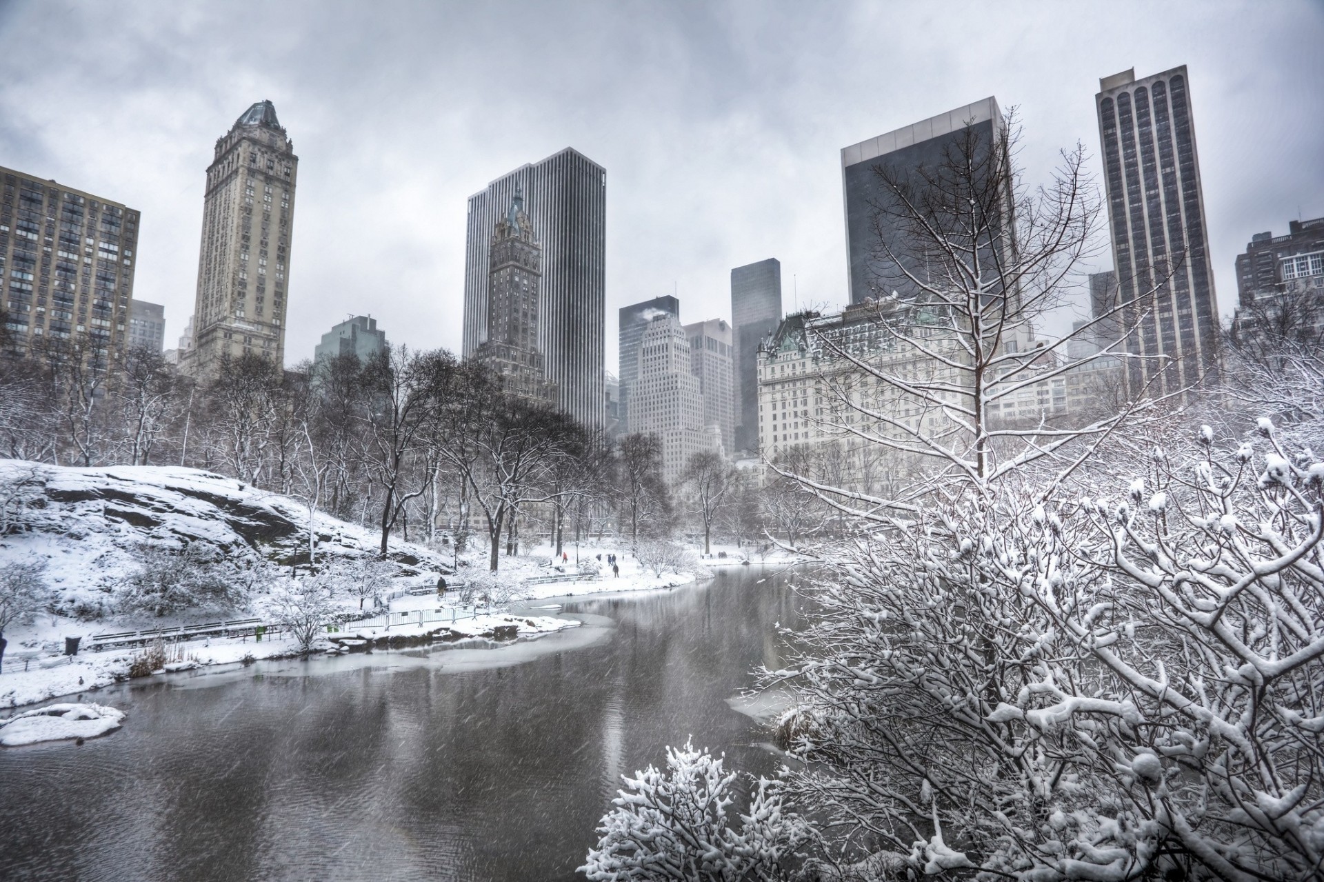 manhattan nowy jork zima drzewa drapacze chmur staw budynek central park