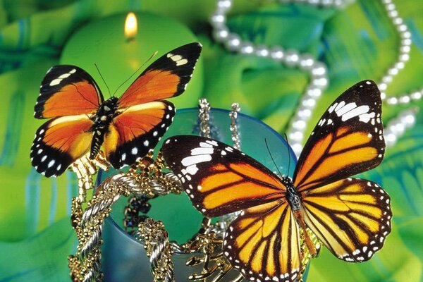 Butterflies sort through the pearls on the glass