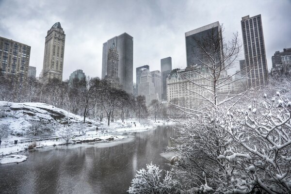 Winter Central Park in New York