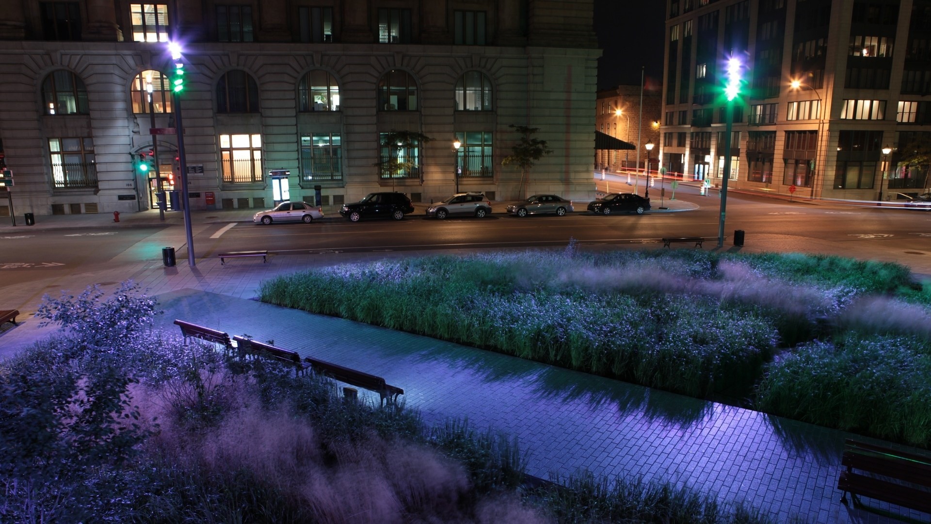 lumière voiture nuit ville rue