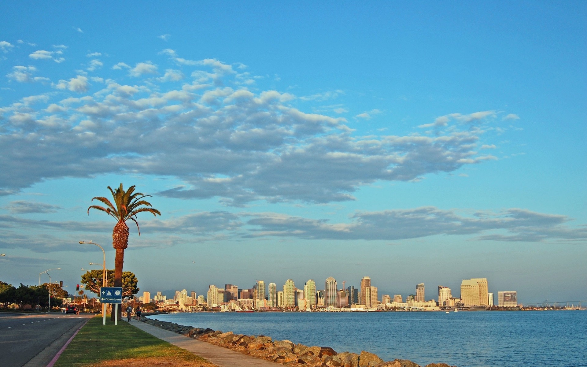 san diego palmiers gratte-ciel côte états-unis californie