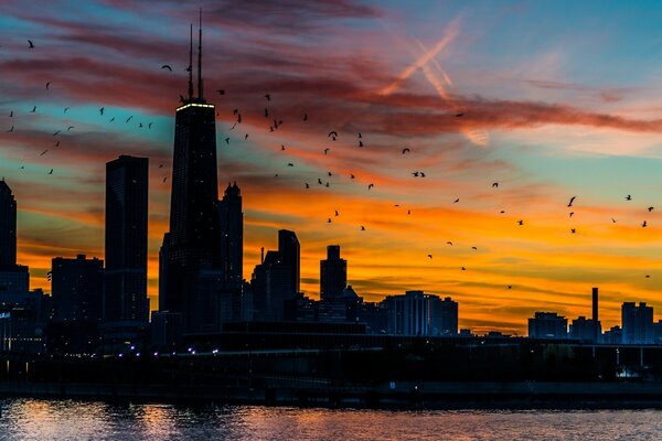 Grattacieli di Chicago sullo sfondo del tramonto