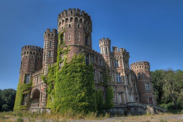 Un vecchio castello ricoperto di muschio in Belgio