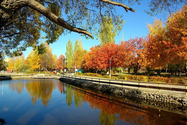 Autumn trees are reflected in the water