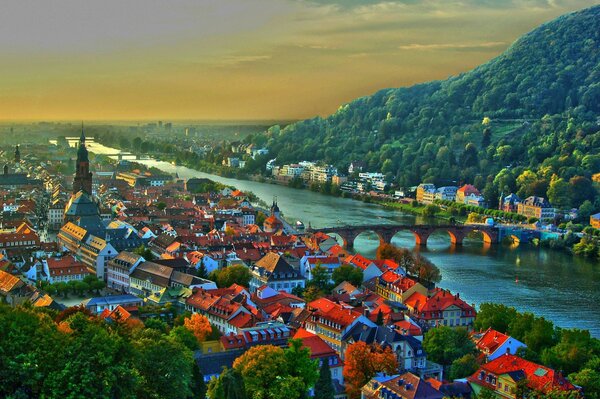 Roofs of buildings in Heidelberg with a bridge to the hill