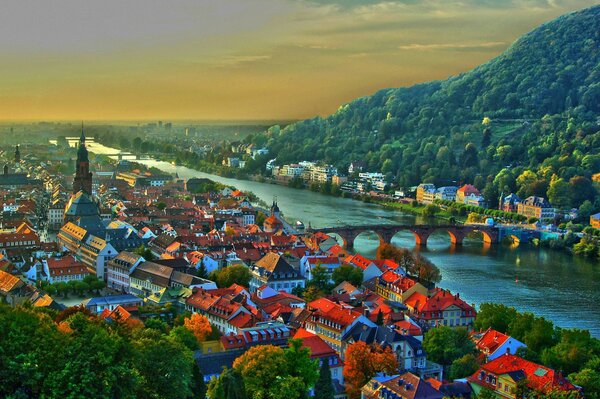 Toits des bâtiments de la ville de Heidelberg avec un pont vers la colline
