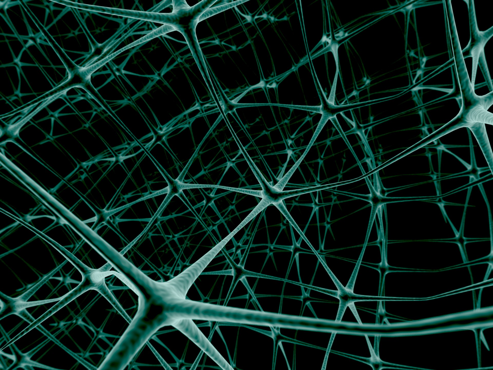 neurones réseau communication