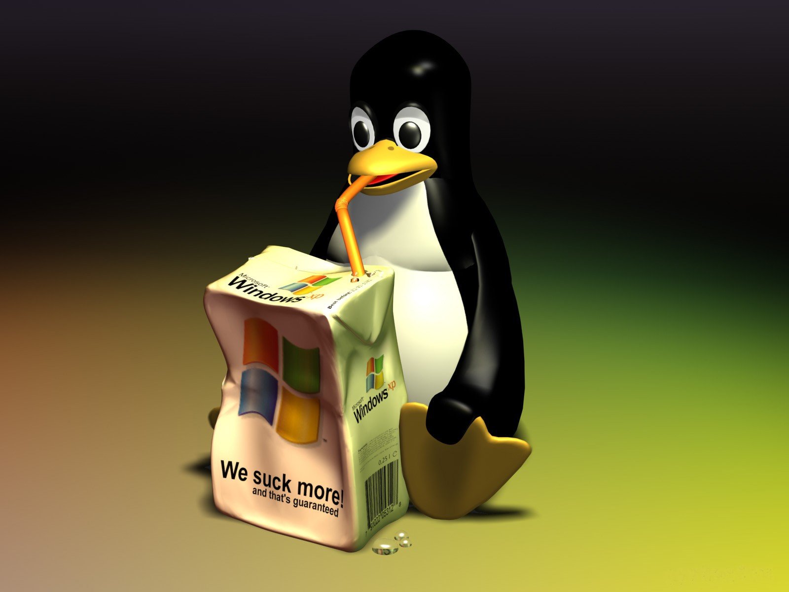 linux windows holywar