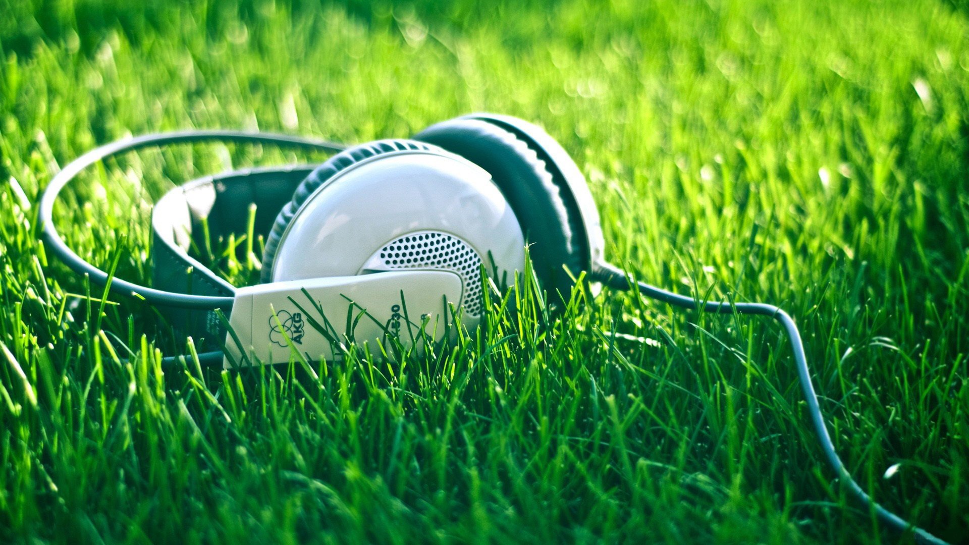 headphones power cord grass summer nature music